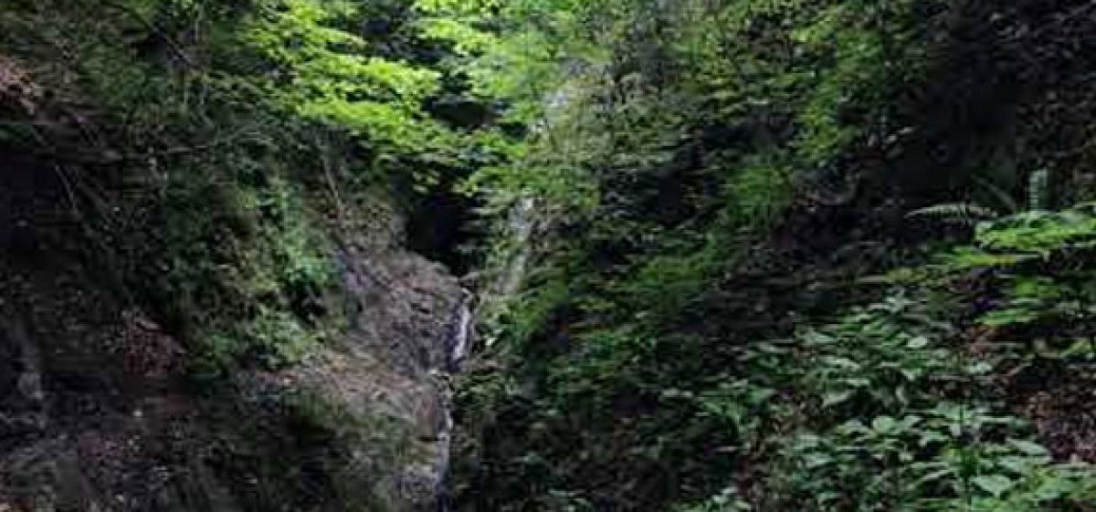 Dovbush's cave in the village of Sheshory