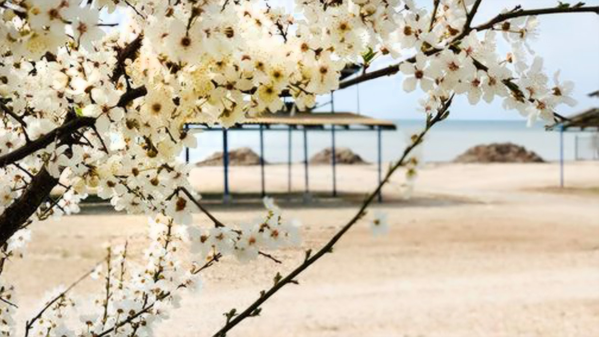 Spring holiday