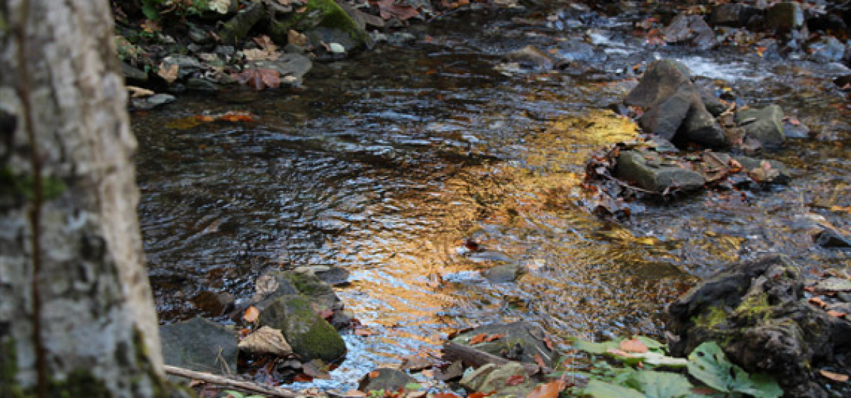 A mysterious stream